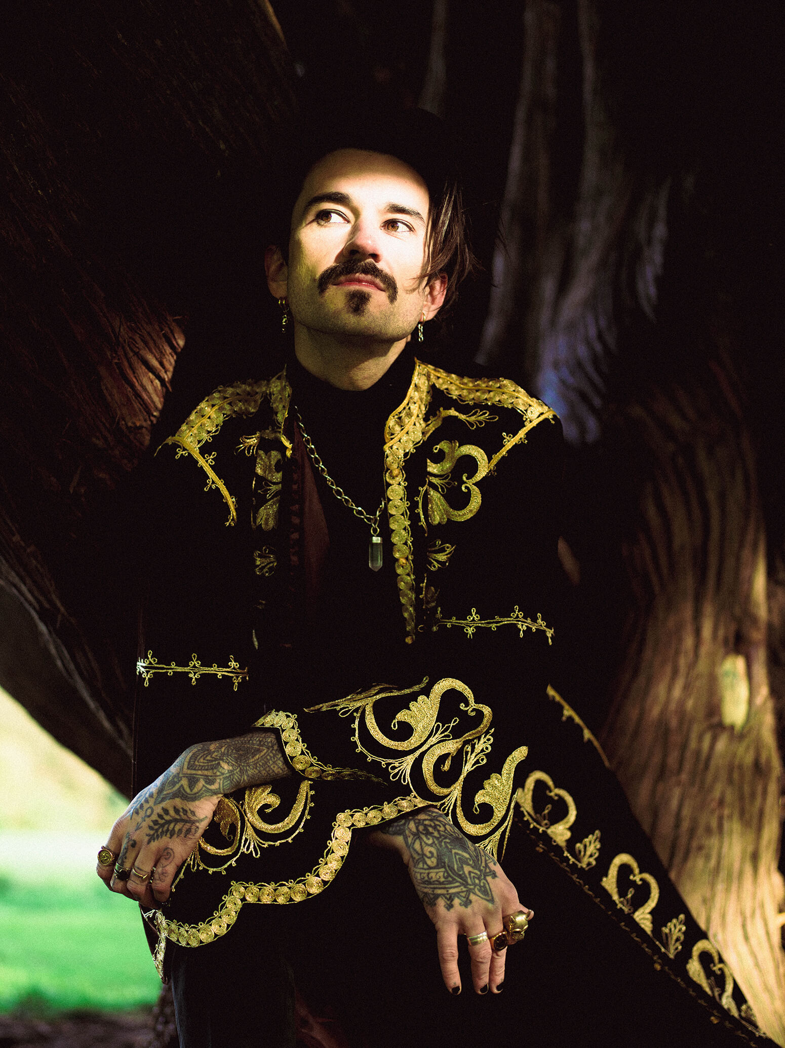 Stanley Duke in a tree wearing a wizard robe